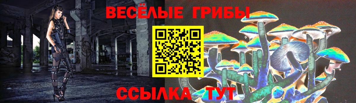 Псилоцибиновые грибы Psilocybe  Псилоцибиновые грибы мицелий  Вход с VPN  Кемерово 